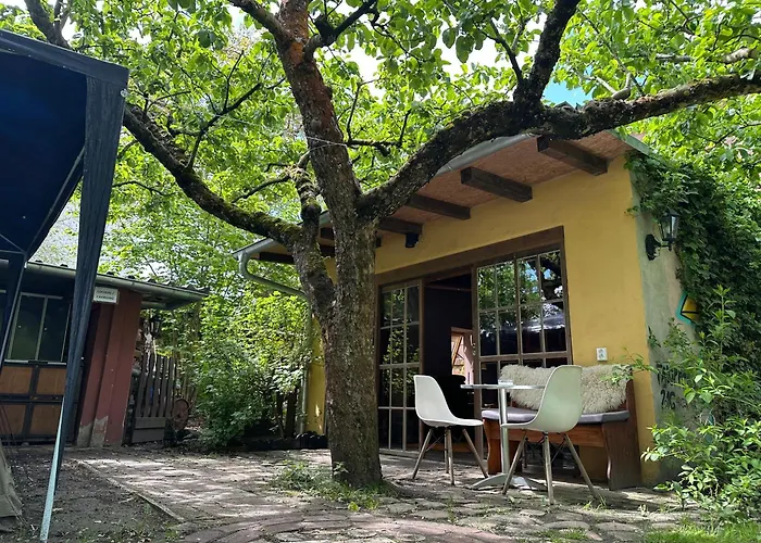 Sandino Summer Camp Berlin